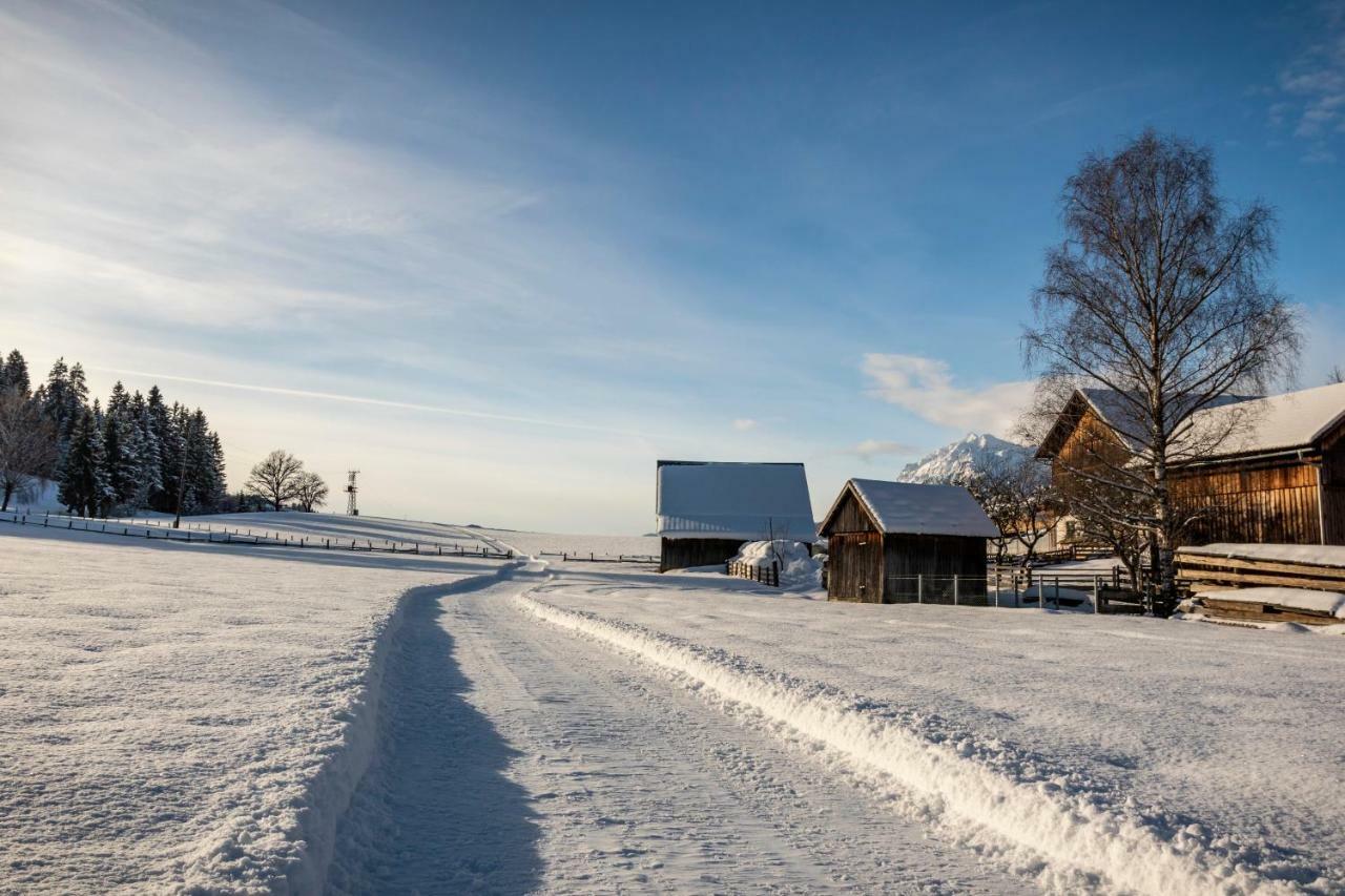 Moserhof Гаус-ім-Енншталь Екстер'єр фото