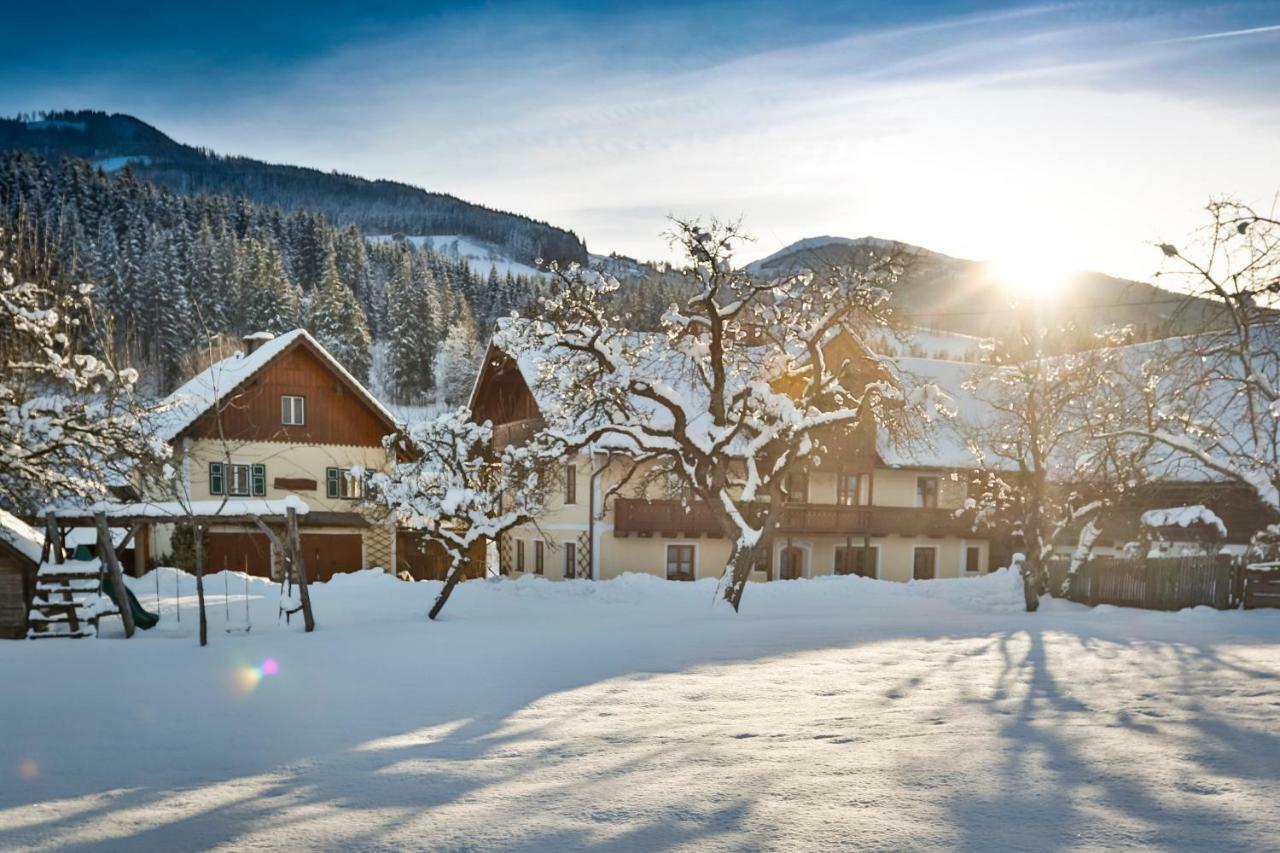Moserhof Гаус-ім-Енншталь Екстер'єр фото